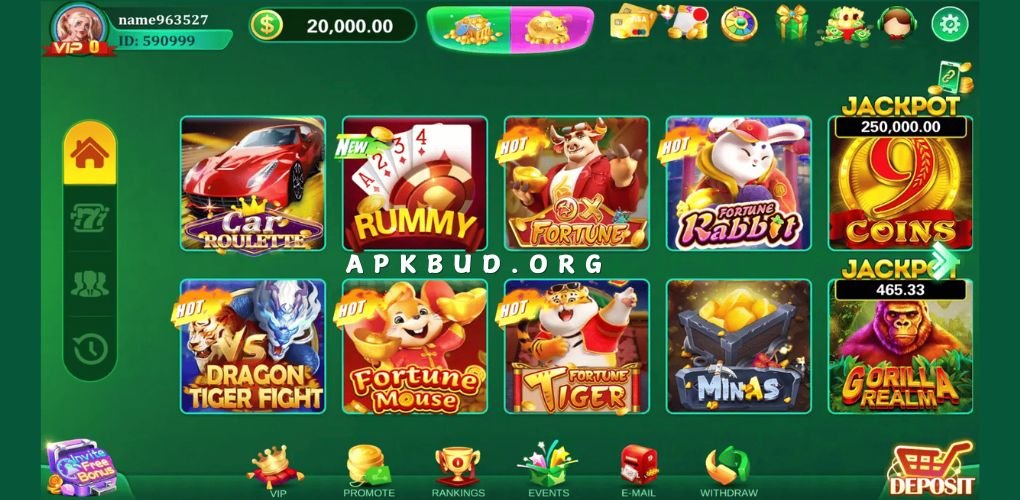 Winli Slots Game